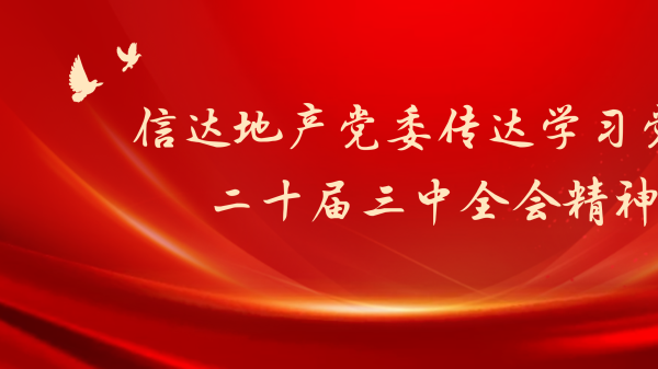 信達地産黨委傳達學(xué)習黨的二十屆三中全會精(jīng)神